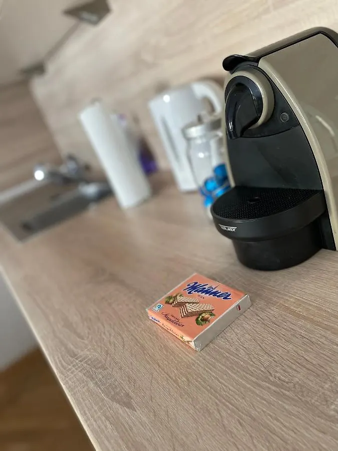 Cozy City Apartment Near City Center Viena Austria